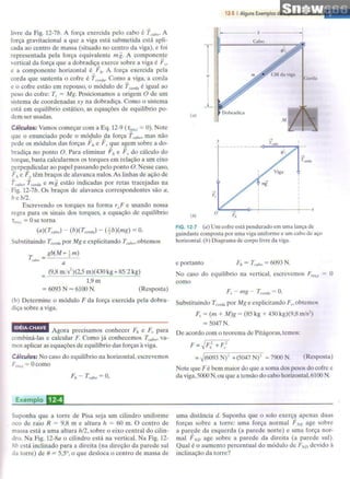 Halliday   8ª ed - vol.2