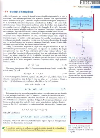 Halliday   8ª ed - vol.2