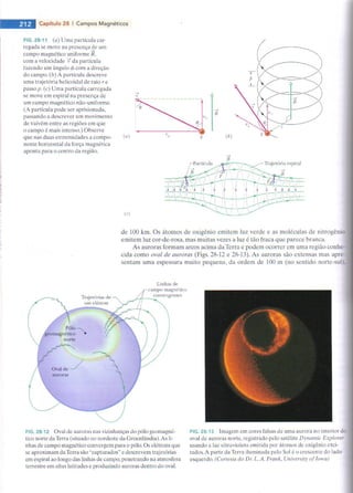 Halliday 8ª edição eletromagnetsimo