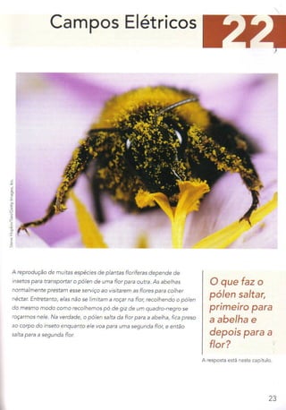 Halliday 8ª edição eletromagnetsimo