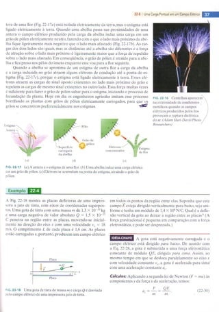 Halliday 8ª edição eletromagnetsimo