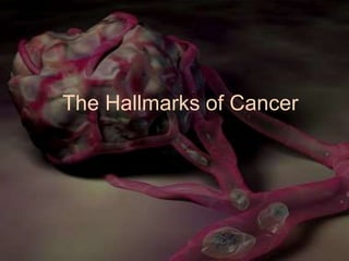 The Hallmarks of Cancer 
 