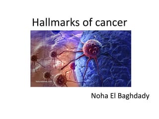 Hallmarks of cancer
Noha El Baghdady
 
