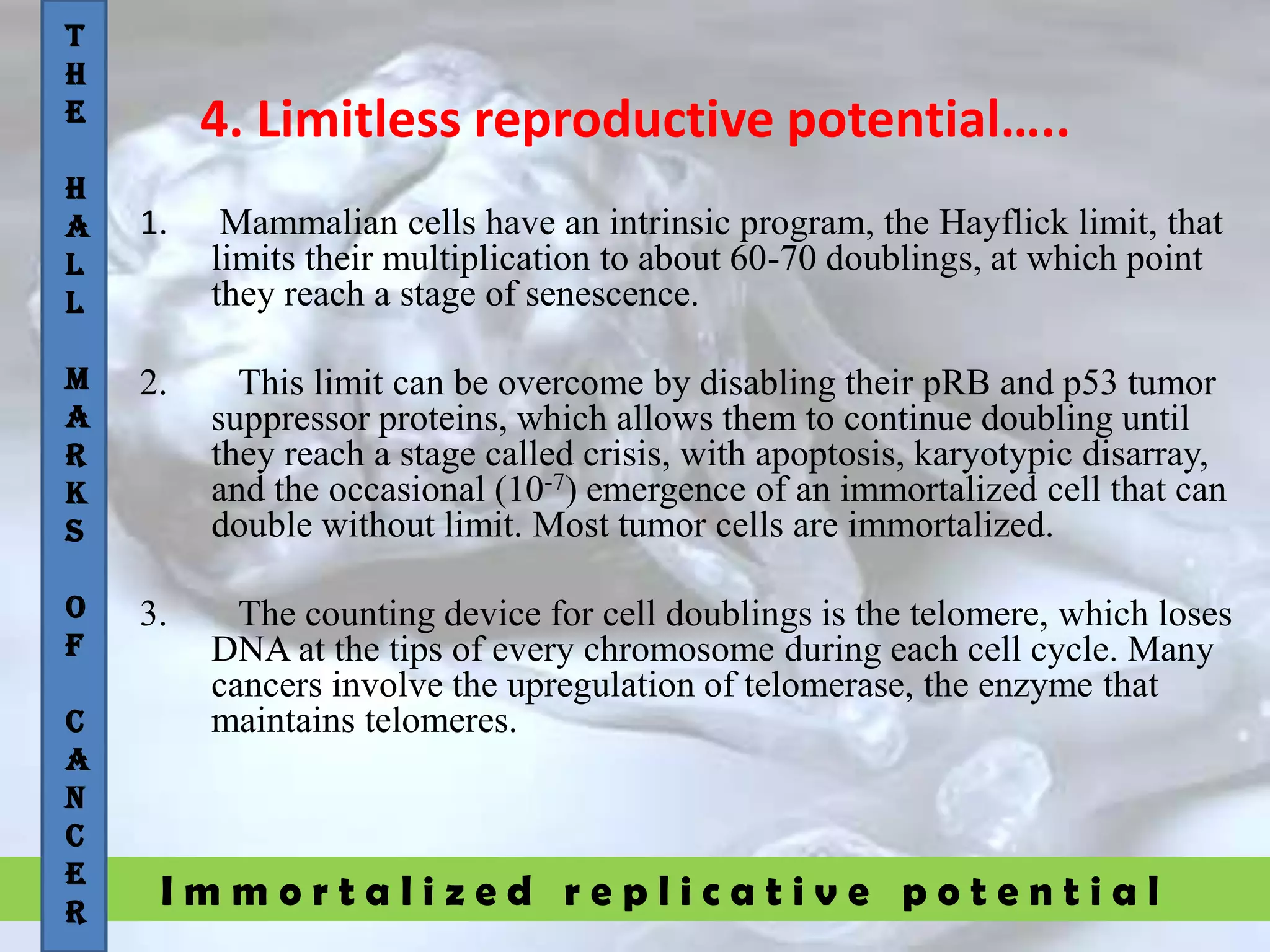 I m m o r t a l i z e d r e p l i c a t i v e p o t e n t i a l
4. Limitless reproductive potential…..
1. Mammalian cells have an intrinsic program, the Hayflick limit, that
limits their multiplication to about 60-70 doublings, at which point
they reach a stage of senescence.
2. This limit can be overcome by disabling their pRB and p53 tumor
suppressor proteins, which allows them to continue doubling until
they reach a stage called crisis, with apoptosis, karyotypic disarray,
and the occasional (10-7) emergence of an immortalized cell that can
double without limit. Most tumor cells are immortalized.
3. The counting device for cell doublings is the telomere, which loses
DNA at the tips of every chromosome during each cell cycle. Many
cancers involve the upregulation of telomerase, the enzyme that
maintains telomeres.
T
H
E
H
A
L
L
M
A
R
K
S
O
F
C
A
N
C
E
R
 