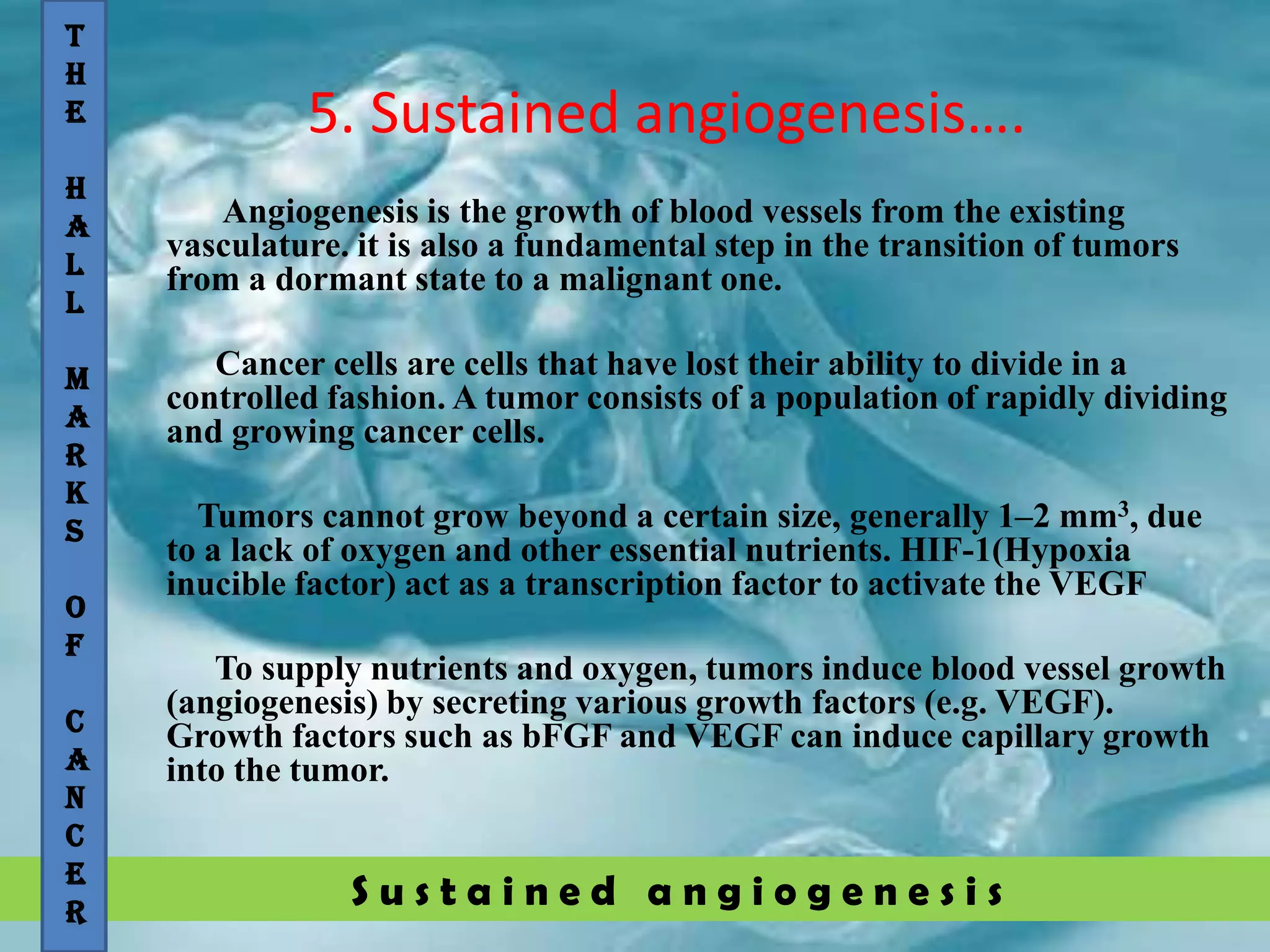 S u s t a i n e d a n g i o g e n e s i s
5. Sustained angiogenesis….
Angiogenesis is the growth of blood vessels from the existing
vasculature. it is also a fundamental step in the transition of tumors
from a dormant state to a malignant one.
Cancer cells are cells that have lost their ability to divide in a
controlled fashion. A tumor consists of a population of rapidly dividing
and growing cancer cells.
Tumors cannot grow beyond a certain size, generally 1–2 mm3, due
to a lack of oxygen and other essential nutrients. HIF-1(Hypoxia
inucible factor) act as a transcription factor to activate the VEGF
To supply nutrients and oxygen, tumors induce blood vessel growth
(angiogenesis) by secreting various growth factors (e.g. VEGF).
Growth factors such as bFGF and VEGF can induce capillary growth
into the tumor.
T
H
E
H
A
L
L
M
A
R
K
S
O
F
C
A
N
C
E
R
 