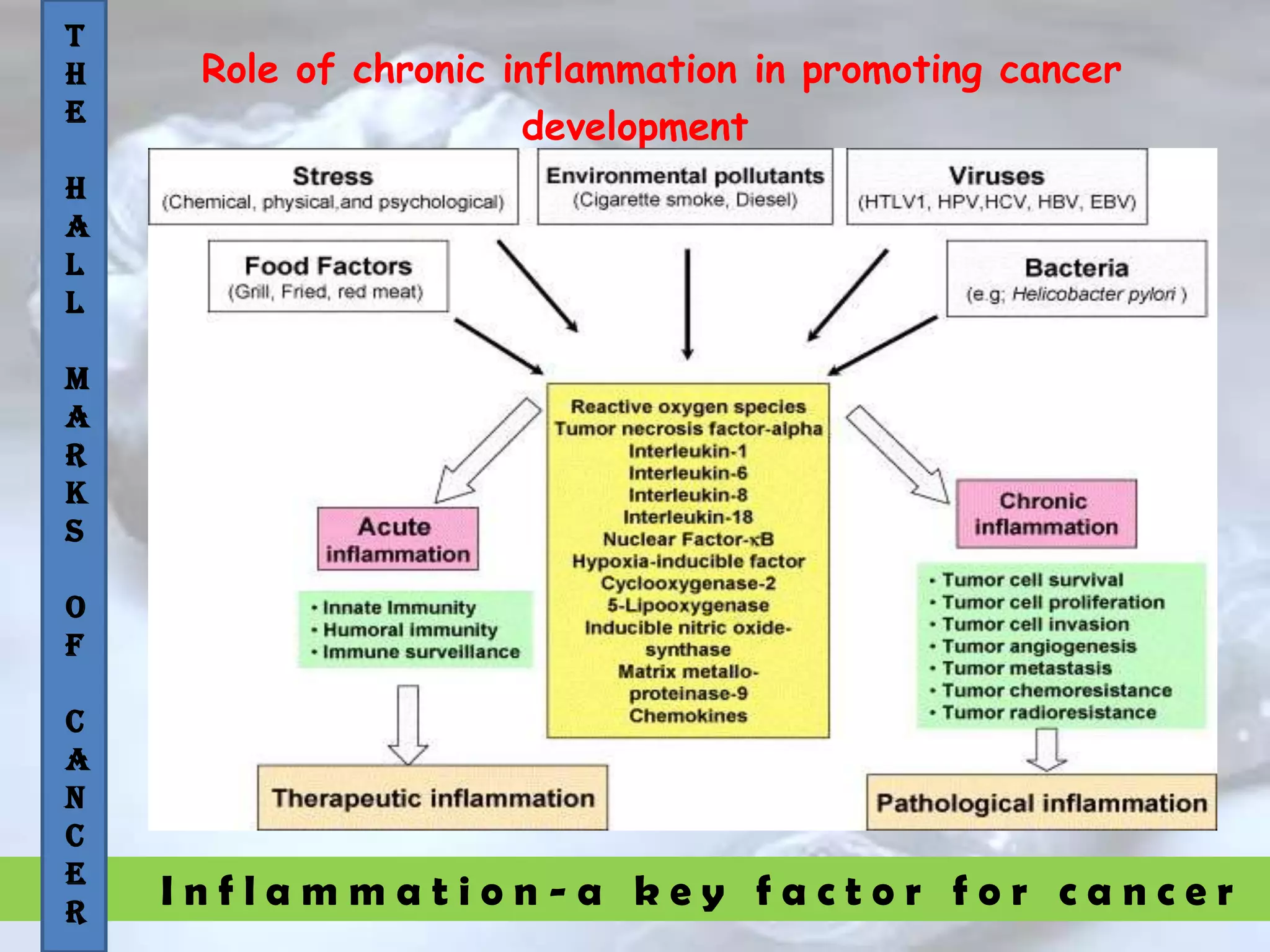 I n f l a m m a t i o n - a k e y f a c t o r f o r c a n c e r
Role of chronic inflammation in promoting cancer
development
T
H
E
H
A
L
L
M
A
R
K
S
O
F
C
A
N
C
E
R
 