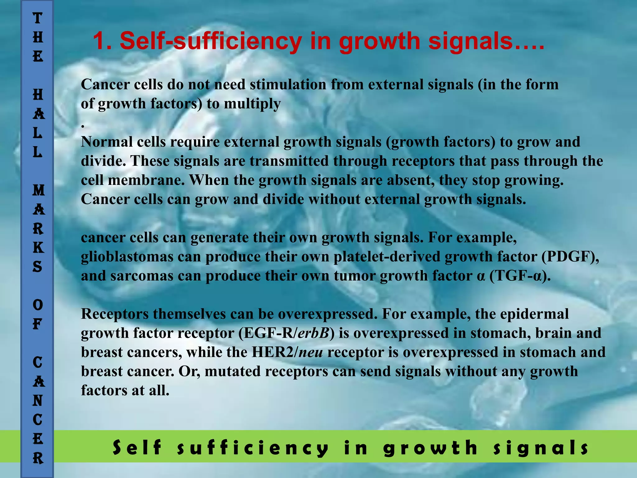 S e l f s u f f i c i e n c y i n g r o w t h s i g n a l s
1. Self-sufficiency in growth signals….
T
H
E
H
A
L
L
M
A
R
K
S
O
F
C
A
N
C
E
R
Cancer cells do not need stimulation from external signals (in the form
of growth factors) to multiply
.
Normal cells require external growth signals (growth factors) to grow and
divide. These signals are transmitted through receptors that pass through the
cell membrane. When the growth signals are absent, they stop growing.
Cancer cells can grow and divide without external growth signals.
cancer cells can generate their own growth signals. For example,
glioblastomas can produce their own platelet-derived growth factor (PDGF),
and sarcomas can produce their own tumor growth factor α (TGF-α).
Receptors themselves can be overexpressed. For example, the epidermal
growth factor receptor (EGF-R/erbB) is overexpressed in stomach, brain and
breast cancers, while the HER2/neu receptor is overexpressed in stomach and
breast cancer. Or, mutated receptors can send signals without any growth
factors at all.
 