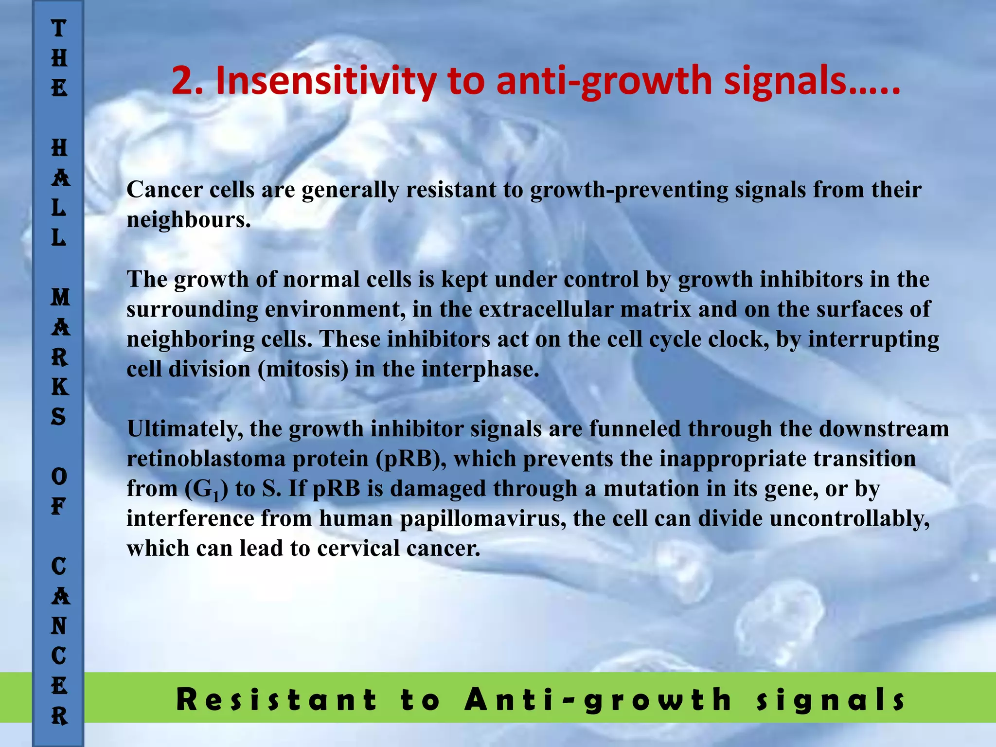 R e s i s t a n t t o A n t i - g r o w t h s i g n a l s
2. Insensitivity to anti-growth signals…..
T
H
E
H
A
L
L
M
A
R
K
S
O
F
C
A
N
C
E
R
Cancer cells are generally resistant to growth-preventing signals from their
neighbours.
The growth of normal cells is kept under control by growth inhibitors in the
surrounding environment, in the extracellular matrix and on the surfaces of
neighboring cells. These inhibitors act on the cell cycle clock, by interrupting
cell division (mitosis) in the interphase.
Ultimately, the growth inhibitor signals are funneled through the downstream
retinoblastoma protein (pRB), which prevents the inappropriate transition
from (G1) to S. If pRB is damaged through a mutation in its gene, or by
interference from human papillomavirus, the cell can divide uncontrollably,
which can lead to cervical cancer.
 