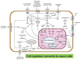 Hallmarks In Cancer Hallmarks In Cancer