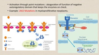 MOLECULAR BASIS AND HALLMARKS OF CANCER PPT.pptx