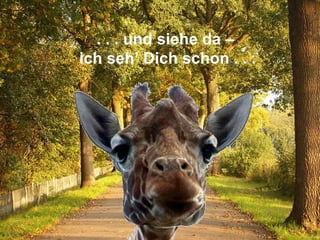 . . . und siehe da –  ich seh’ Dich schon . . . 