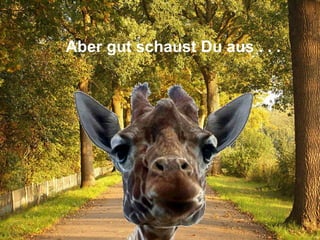 Aber gut schaust Du aus . . .  