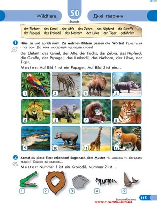 Stunde
115
50 Дикі твариниWildtiere
hundertfünfzehn
 Höre zu und sprich nach. Zu welchen Bildern passen die Wörter? Прослухай
і повтори. До яких ілюстрацій підходять слова?
Der Elefant, das Kamel, der Affe, der Fuchs, das Zebra, das Nilpferd,
die Giraffe, der Papagei, das Krokodil, das Nashorn, der Löwe, der
Tiger.
M u s t e r: Auf Bild 1 ist ein Papagei. Auf Bild 2 ist ein...
1 2 3 4
5 6 7 8
9 10 11 12
Kannst du diese Tiere erkennen? Sage nach dem Muster. Чи можеш ти відгадати
тварин? Скажи за зразком.
M u s t e r: Nummer 1 ist ein Krokodil. Nummer 2 ist...
der Elefant das Kamel der Affe das Zebra das Nilpferd die Giraffe
der Papagei das Krokodil das Nashorn der Löwe der Tiger gefährlich
Nu e s e
1 2 3 4 5
www.e-ranok.com.ua
 
