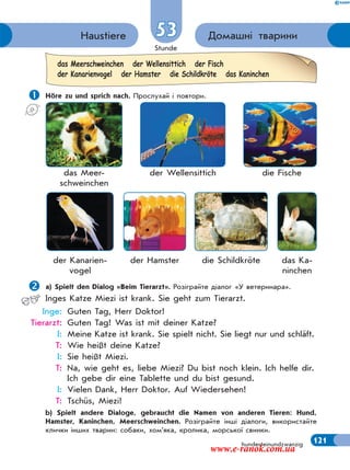 Stunde
121hunderteinundzwanzig
Домашні твариниHaustiere 53
 Höre zu und sprich nach. Прослухай і повтори.
a) Spielt den Dialog «Beim Tierarzt». Розіграйте діалог «У ветеринара».
Inges Katze Miezi ist krank. Sie geht zum Tierarzt.
Inge: Guten Tag, Herr Doktor!
Tierarzt: Guten Tag! Was ist mit deiner Katze?
I: Meine Katze ist krank. Sie spielt nicht. Sie liegt nur und schläft.
T: Wie heißt deine Katze?
I: Sie heißt Miezi.
T: Na, wie geht es, liebe Miezi? Du bist noch klein. Ich helfe dir.
Ich gebe dir eine Tablette und du bist gesund.
I: Vielen Dank, Herr Doktor. Auf Wiedersehen!
T: Tschüs, Miezi!
b) Spielt andere Dialoge, gebraucht die Namen von anderen Tieren: Hund,
Hamster, Kaninchen, Meerschweinchen. Розіграйте інші діалоги, використайте
клички інших тварин: собаки, хом’яка, кролика, морської свинки.
das Meerschweinchen der Wellensittich der Fisch
der Kanarienvogel der Hamster die Schildkröte das Kaninchen
die Schildkröteder Hamsterder Kanarien-
vogel
das Ka-
ninchen
das Meer-
schweinchen
der Wellensittich die Fische
www.e-ranok.com.ua
 