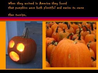 When they arrived in America they found  that pumpkins were both plentiful and easier to carve than turnips.   