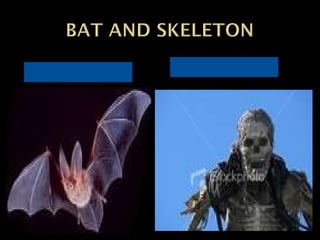 halloween-1fcefcxefcaefcccfrwcfwrcc11107160627-phpapp02.ppt