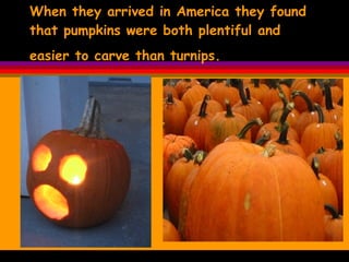 When they arrived in America they found  that pumpkins were both plentiful and easier to carve than turnips.   