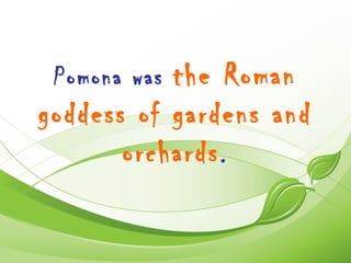 Pomona wasthe Roman
goddess of gardens and
       orchards .
 