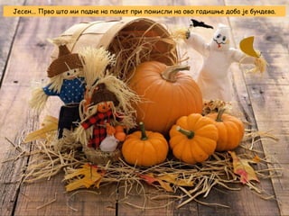 Јесен... Прво што ми падне на памет при помисли на ово годишње доба је бундева.

 