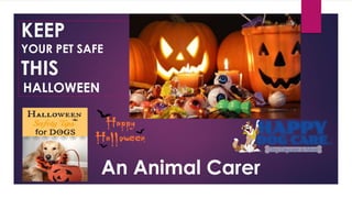 KEEP
YOUR PET SAFE
THIS
HALLOWEEN
An Animal Carer
 