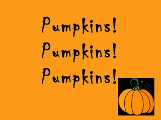 Pumpkins!
Pumpkins!
Pumpkins!
 