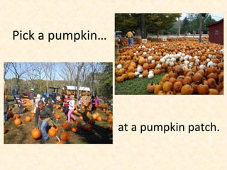 Pick a pumpkin…
at a pumpkin patch.
 