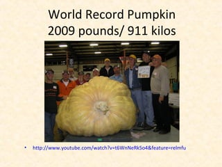 World Record Pumpkin
2009 pounds/ 911 kilos
• http://www.youtube.com/watch?v=t6WnNeRk5o4&feature=relmfu
 