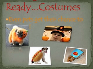 Even pets get their chance to 
dress up! 
 