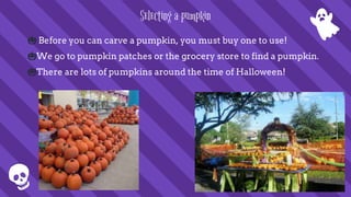 Selecting a pumpkin
🎃 Before you can carve a pumpkin, you must buy one to use!
🎃We go to pumpkin patches or the grocery store to find a pumpkin.
🎃There are lots of pumpkins around the time of Halloween!
 