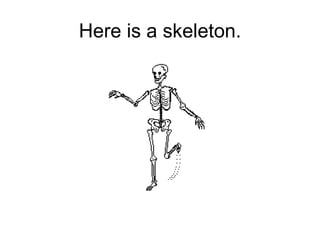 Here is a skeleton. 