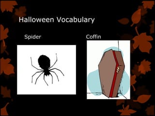 Halloween Vocabulary
Spider Coffin
 