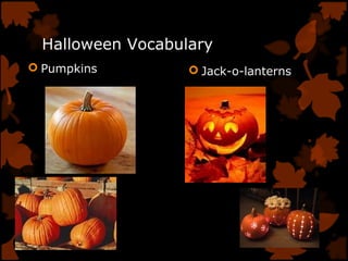 Halloween Vocabulary
 Pumpkins  Jack-o-lanterns
 
