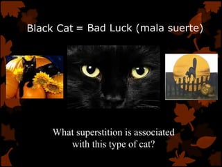 Black Cat
What superstition is associated
with this type of cat?
= Bad Luck (mala suerte)
 