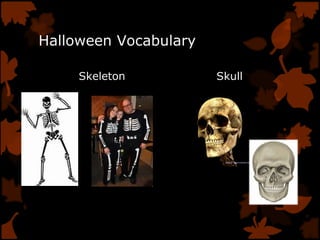 Halloween Vocabulary
Skeleton Skull
 