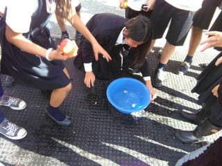 Halloween - Octubre 2015
 