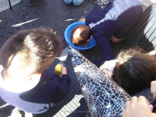 Halloween - Octubre 2015
 