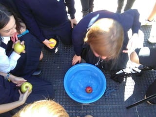 Halloween - Octubre 2015
 