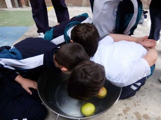 Halloween - Octubre 2015
 