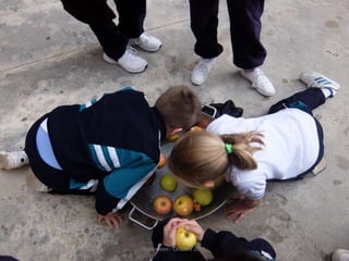 Halloween - Octubre 2015
 