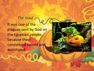 The toad 
It was one of the 
plagues sent by God on 
the Egyptian people, 
because they 
considered sacred and 
worshiped. 
 