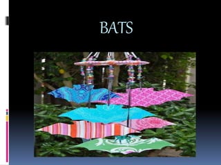 BATS
 