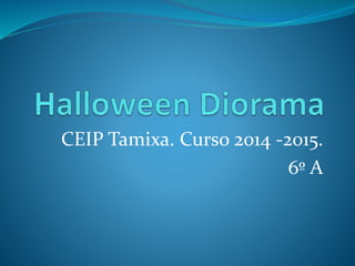 CEIP Tamixa. Curso 2014 -2015. 
6º A 
 