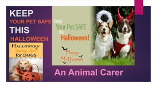 KEEP
YOUR PET SAFE
THIS
HALLOWEEN
An Animal Carer
 