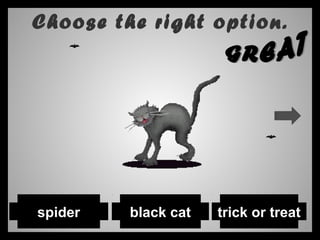 Choose the right option.
spider black cat trick or treat
 