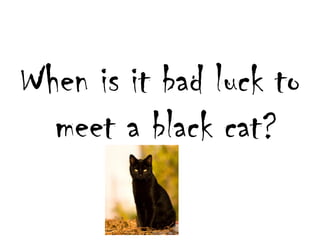 Whenisitbadlucktomeet a blackcat?