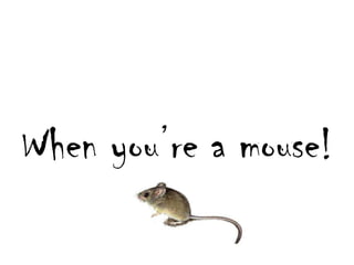 Whenyoure a mouse!