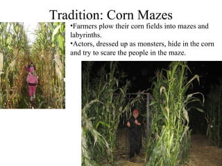 Tradition: Corn Mazes
   •Farmers plow their corn fields into mazes and
   labyrinths.
   •Actors, dressed up as monsters, hide in the corn
   and try to scare the people in the maze.
 
