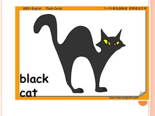 black 
cat 
 