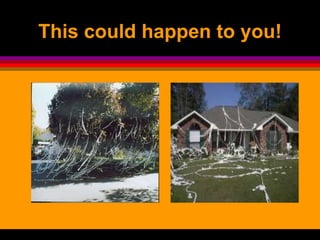 This could happen to you!
 