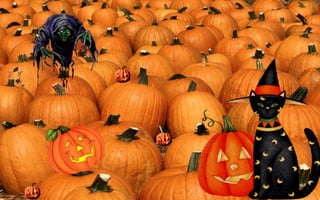 Halloween pumpkins